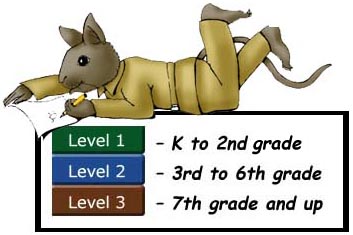 Explanation of levels